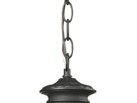 Anise 1 Light Outdoor Pendant In Textured Matte Black For Sale