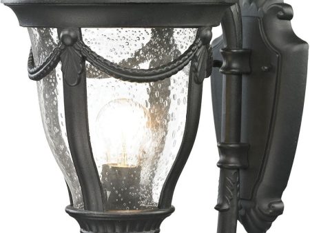 Anise 1 Light Outdoor Sconce In Textured Matte Black For Cheap