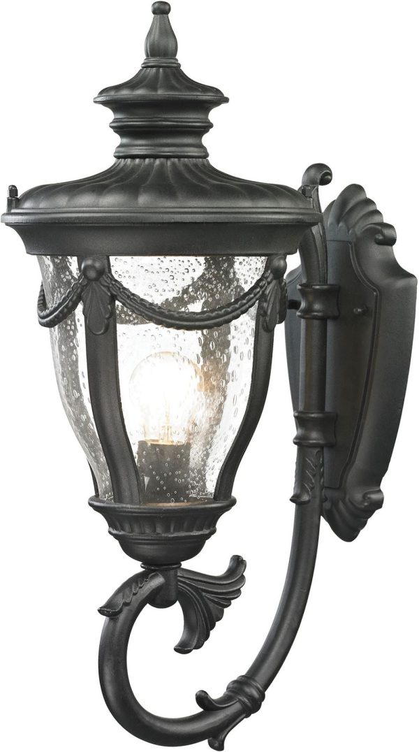 Anise 1 Light Outdoor Sconce In Textured Matte Black For Cheap