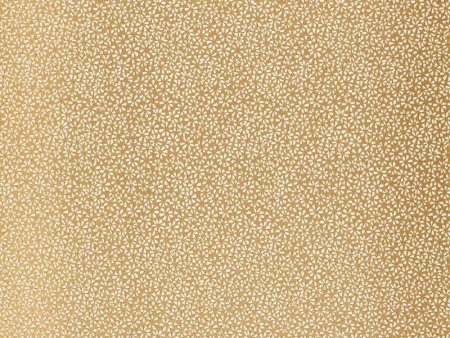 FSchumacher Fabric 2644521 Kyousha Silk Champagne Fashion